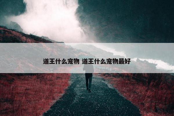 道王什么宠物 道王什么宠物最好