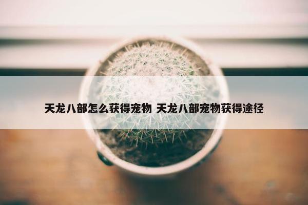 天龙八部怎么获得宠物 天龙八部宠物获得途径