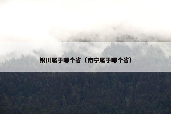 银川属于哪个省（南宁属于哪个省）