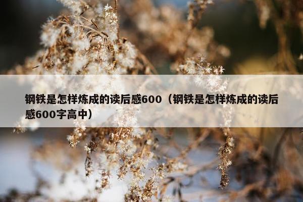 钢铁是怎样炼成的读后感600（钢铁是怎样炼成的读后感600字高中）