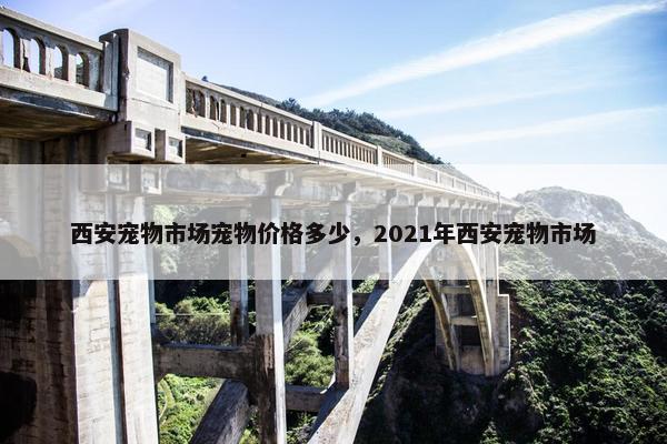 西安宠物市场宠物价格多少，2021年西安宠物市场