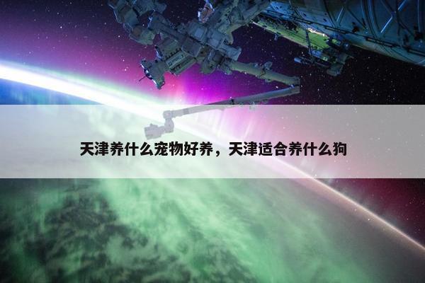 天津养什么宠物好养，天津适合养什么狗