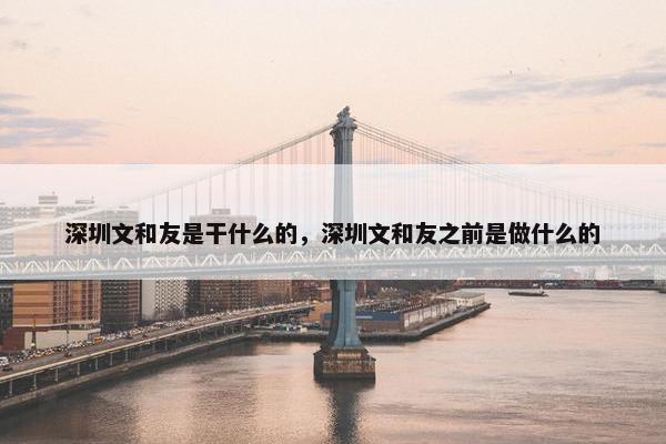 深圳文和友是干什么的，深圳文和友之前是做什么的