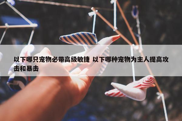 以下哪只宠物必带高级敏捷 以下哪种宠物为主人提高攻击和暴击