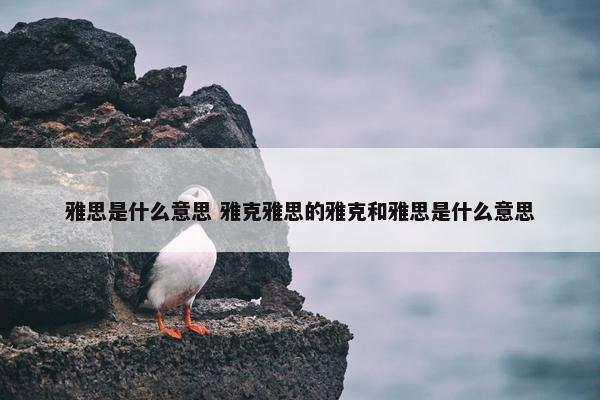 雅思是什么意思 雅克雅思的雅克和雅思是什么意思