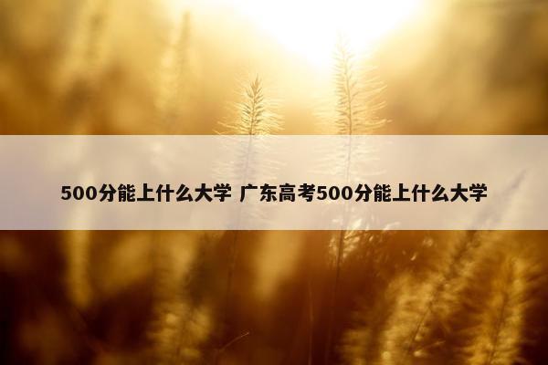 500分能上什么大学 广东高考500分能上什么大学