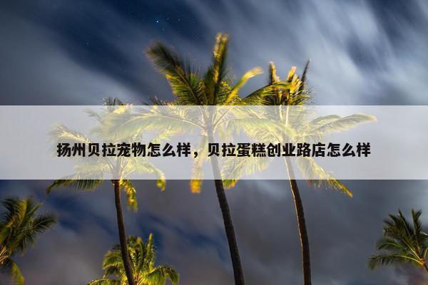 扬州贝拉宠物怎么样，贝拉蛋糕创业路店怎么样