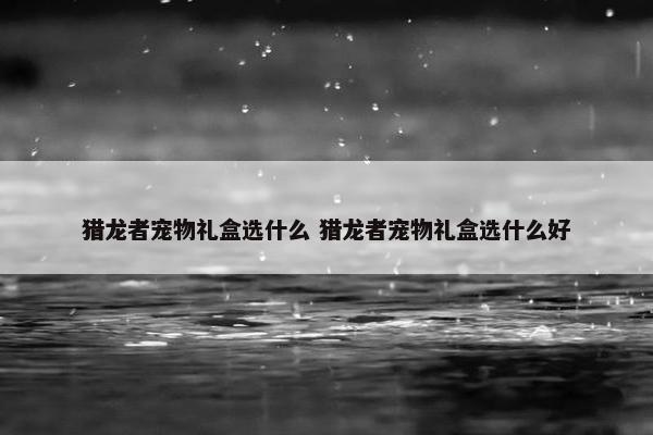 猎龙者宠物礼盒选什么 猎龙者宠物礼盒选什么好