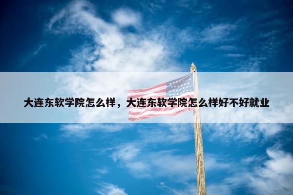 大连东软学院怎么样，大连东软学院怎么样好不好就业