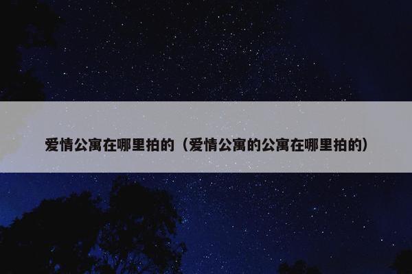 爱情公寓在哪里拍的（爱情公寓的公寓在哪里拍的）