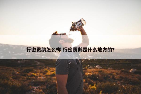 行密贡鹅怎么样 行密贡鹅是什么地方的?