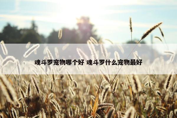 魂斗罗宠物哪个好 魂斗罗什么宠物最好