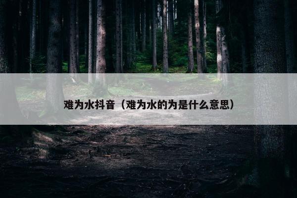 难为水抖音（难为水的为是什么意思）