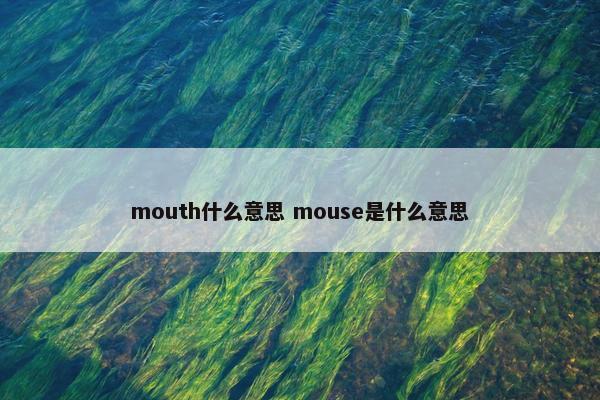 mouth什么意思 mouse是什么意思