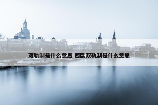 双轨制是什么意思 西欧双轨制是什么意思