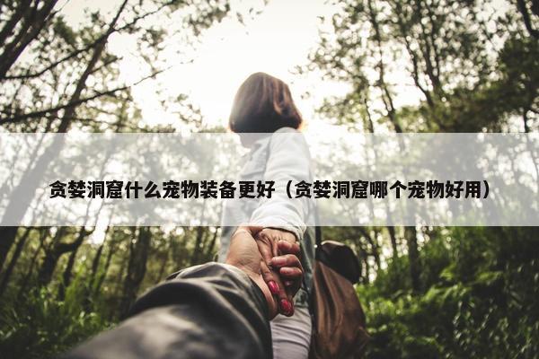 贪婪洞窟什么宠物装备更好（贪婪洞窟哪个宠物好用）