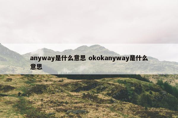 anyway是什么意思 okokanyway是什么意思