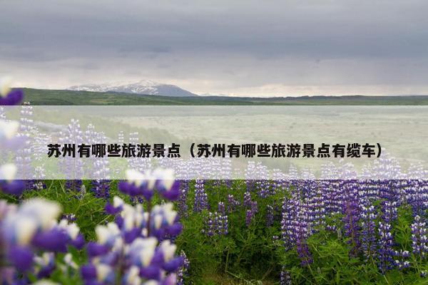 苏州有哪些旅游景点（苏州有哪些旅游景点有缆车）