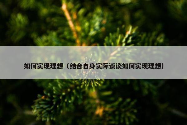 如何实现理想（结合自身实际谈谈如何实现理想）