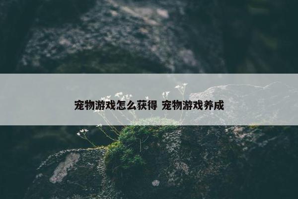 宠物游戏怎么获得 宠物游戏养成