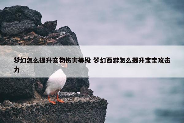 梦幻怎么提升宠物伤害等级 梦幻西游怎么提升宝宝攻击力