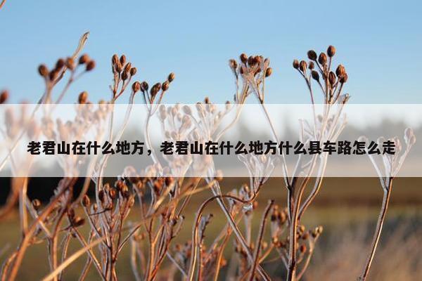 老君山在什么地方，老君山在什么地方什么县车路怎么走