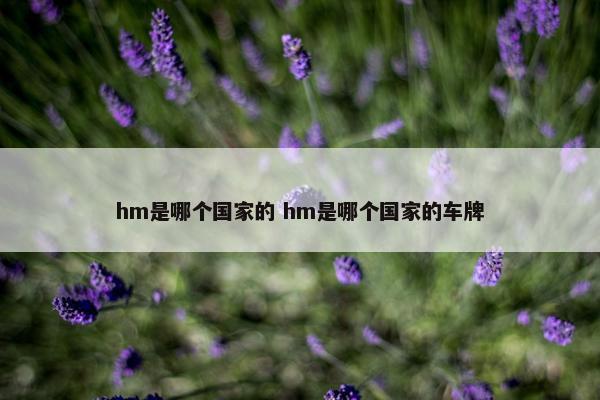 hm是哪个国家的 hm是哪个国家的车牌