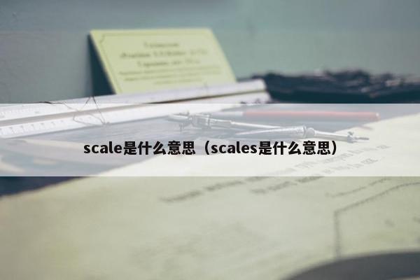 scale是什么意思（scales是什么意思）