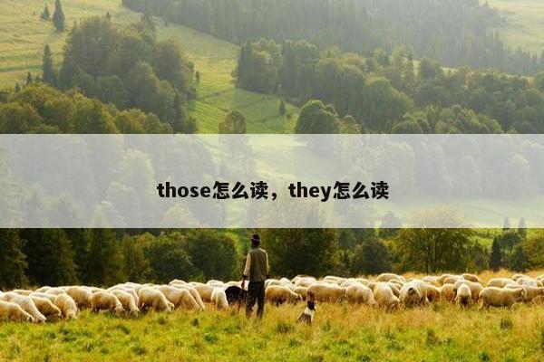 those怎么读，they怎么读