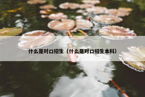 什么是对口招生（什么是对口招生本科）