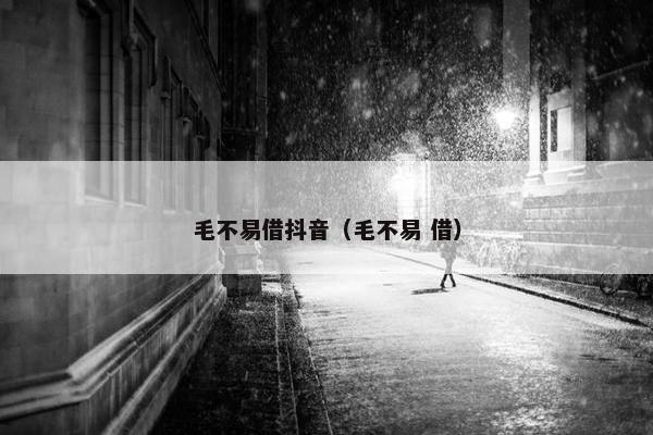 毛不易借抖音（毛不易 借）