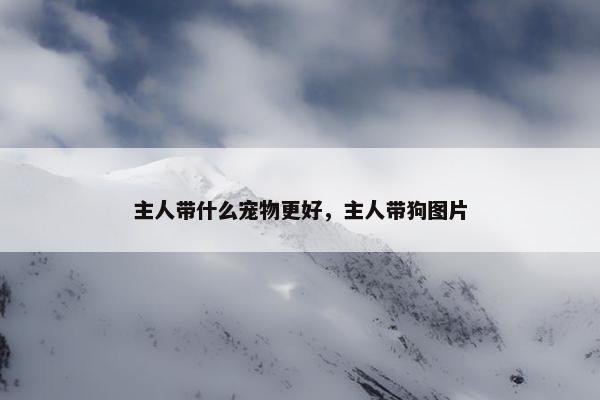 主人带什么宠物更好，主人带狗图片