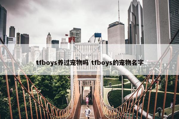 tfboys养过宠物吗 tfboys的宠物名字