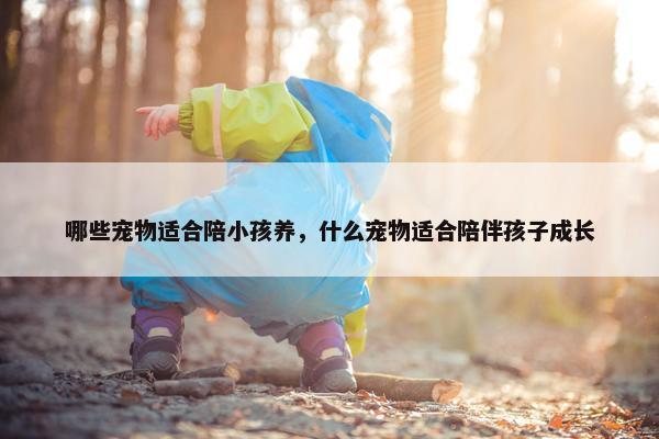 哪些宠物适合陪小孩养，什么宠物适合陪伴孩子成长