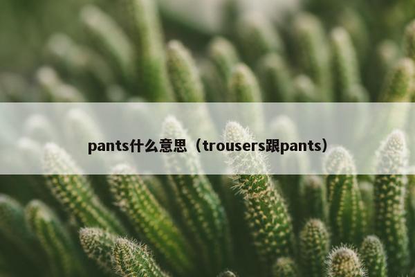 pants什么意思（trousers跟pants）