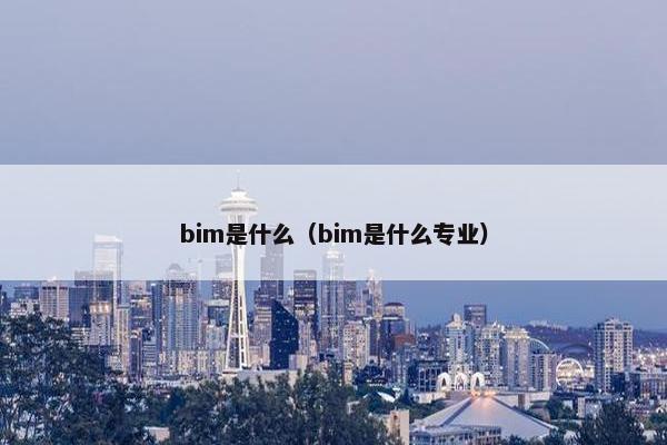 bim是什么（bim是什么专业）