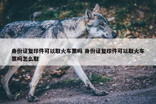 身份证复印件可以取火车票吗 身份证复印件可以取火车票吗怎么取