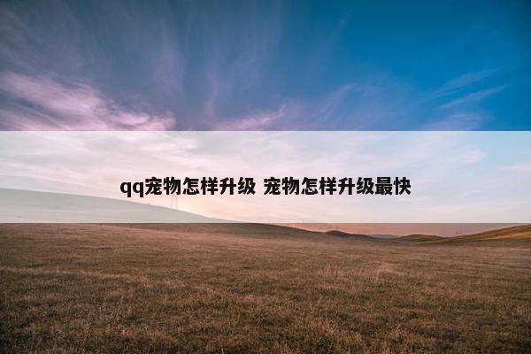 qq宠物怎样升级 宠物怎样升级最快