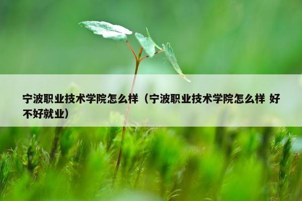 宁波职业技术学院怎么样（宁波职业技术学院怎么样 好不好就业）