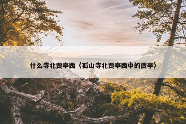 什么寺北贾亭西（孤山寺北贾亭西中的贾亭）