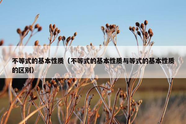 不等式的基本性质（不等式的基本性质与等式的基本性质的区别）