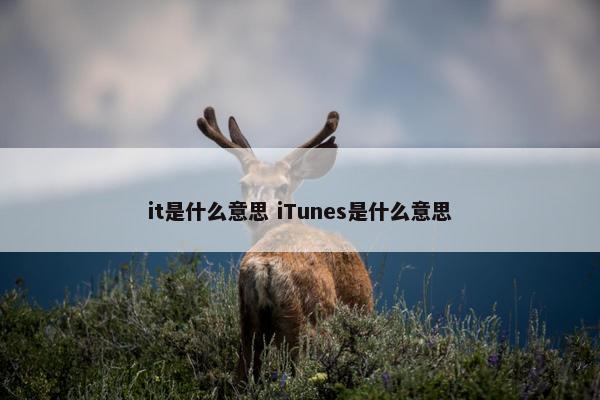 it是什么意思 iTunes是什么意思