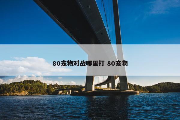 80宠物对战哪里打 80宠物