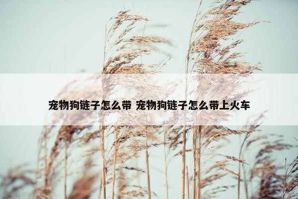 宠物狗链子怎么带 宠物狗链子怎么带上火车