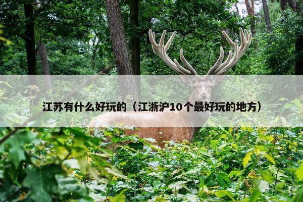 江苏有什么好玩的（江浙沪10个最好玩的地方）