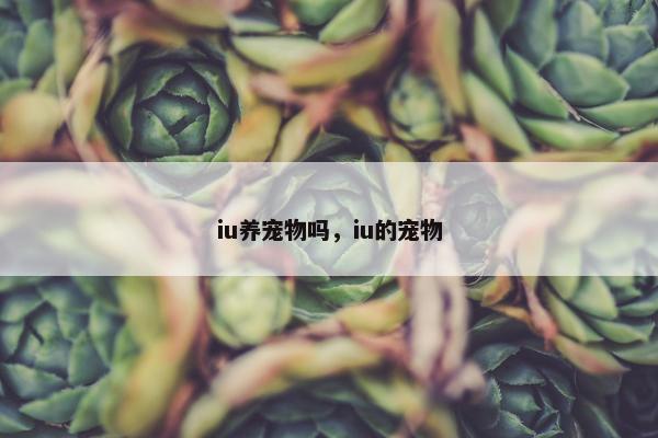 iu养宠物吗，iu的宠物