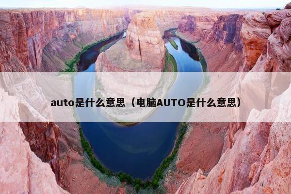 auto是什么意思（电脑AUTO是什么意思）