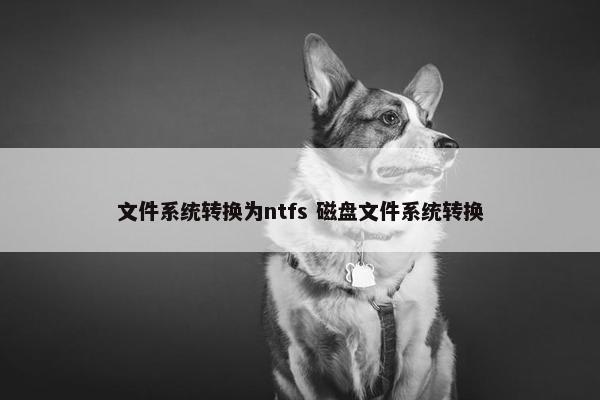 文件系统转换为ntfs 磁盘文件系统转换