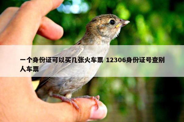 一个身份证可以买几张火车票 12306身份证号查别人车票