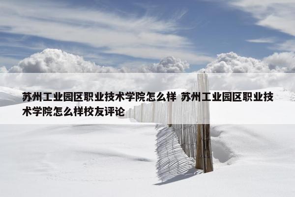 苏州工业园区职业技术学院怎么样 苏州工业园区职业技术学院怎么样校友评论